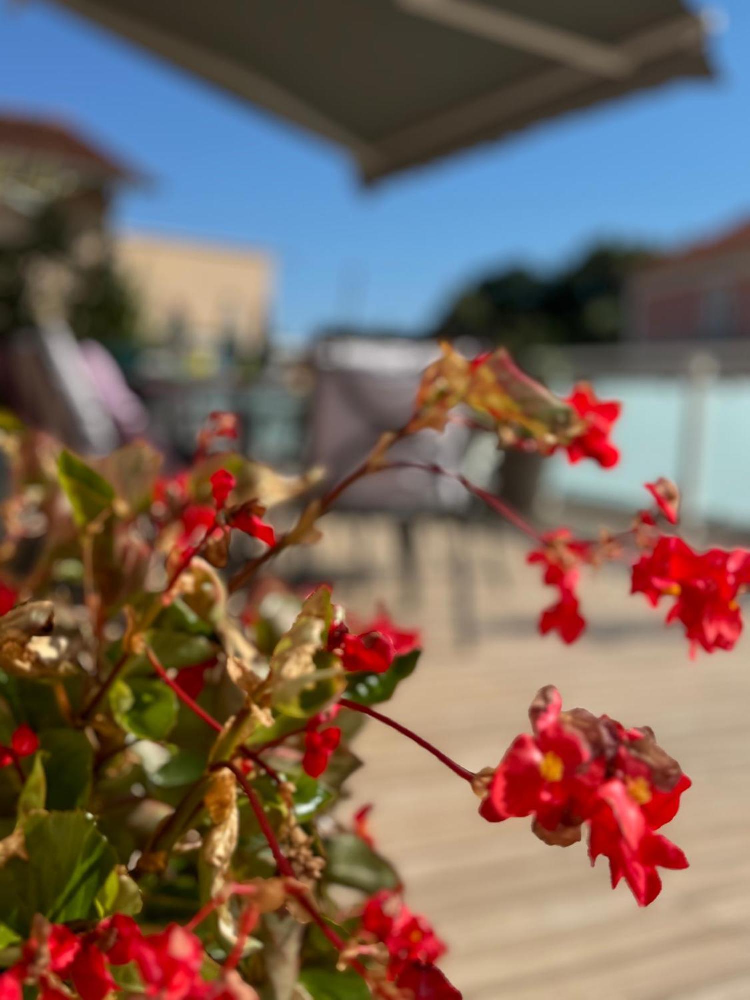 Comfortable Apartment Near Opatija 马图利 外观 照片